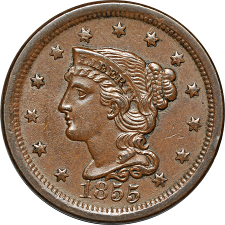 Eight large-cents from the 1850s.