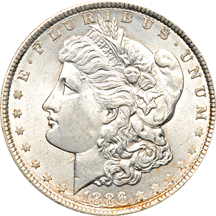 Five certified uncirculated Morgan dollars.