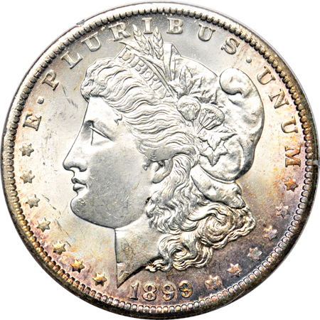 Ten Morgan dollars.  PCGS MS-63 (rattler).