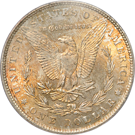 Ten Morgan Dollars.  PCGS MS-64 (green label).