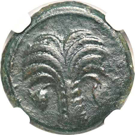 Zeugitana, Carthage. Circa late 4th Century BC. Sicilian mint (?) AE18mm. (4.78gm.), palm tree/horse's head right. NGC Ch VF.
