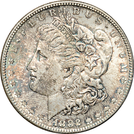 Thirteen richly toned Morgan dollars.