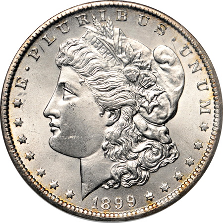 Seven certified MS-63 or higher Morgan dollars.