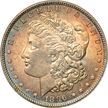 Eight certified Morgan dollars.  MS-63 or higer.