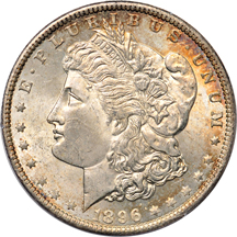 Ten Morgan dollars.  PCGS MS-63 (rattler).