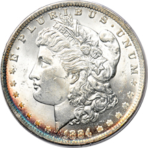 Ten Morgan dollars.  PCGS MS-63 (rattler).