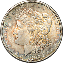 Thirteen richly toned Morgan dollars.