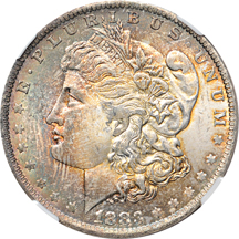 Seven gorgeously toned certified Morgan dollars.