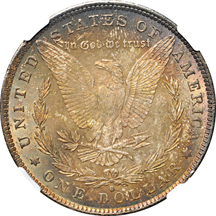 1884-O NGC MS-64 toned, and 1884-O NGC UNC details/environmental damage/toned.