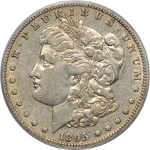 1895-S (VAM-2) PCGS XF-45.