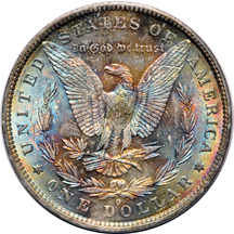 Twenty uncirculated 1883-O Morgan dollars.