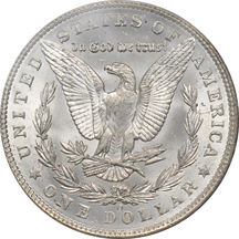 Twenty 1904-O Morgan dollars, all PCGS certified.