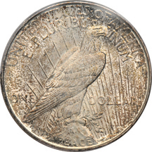 1923-D "shattered obverse die" PCGS MS-64.