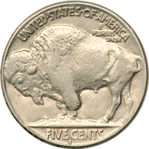 Seven XF/AU collector date Buffalo nickels.