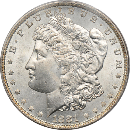 Nine PCGS MS-64+ Morgan dollars.