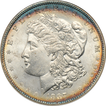 Nine tastefully toned Morgan dollars, all NGC MS-65 (no line).