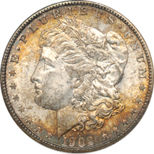 Four moderately toned Morgan dollars, certified.