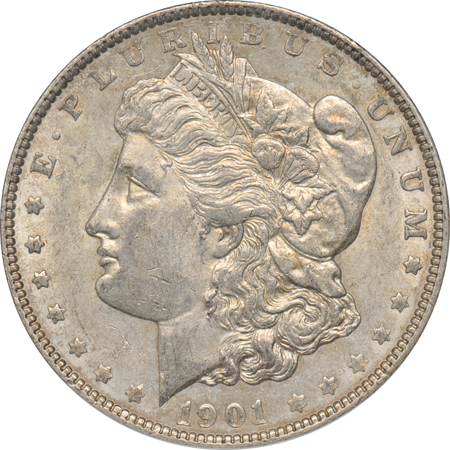 Nine Morgan dollar varieties, all certified.