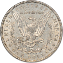 Nine Morgan dollar varieties, all certified.