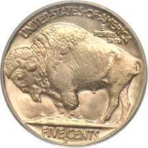 Five Buffalo nickels graded MS-65 by PCGS.