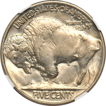 Seven Buffalo nickels graded MS-64 by NGC.