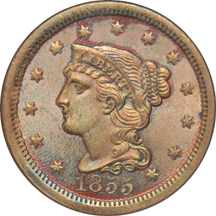 1855 half-cent and 1855 large cent, both NGC MS-64 BN.