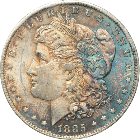 Nineteen toned Morgan dollars.