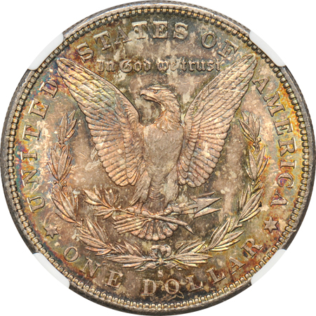 Five toned Morgan dollars, all certified MS-65.