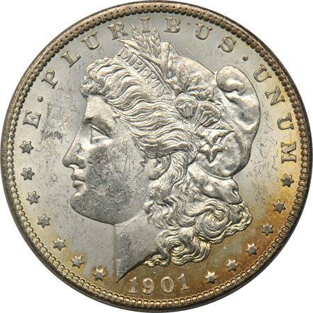 Twenty Morgan dollars, as described.