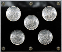 Five 1878 dated silver dollars in a Capital Plastics case.