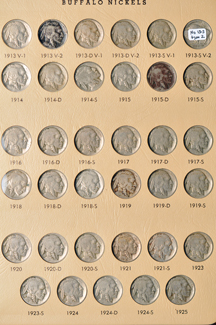 Collection of Buffalo nickels in a Dansco 7112 album.