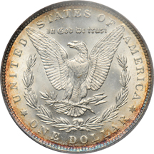 Five different Morgan dollars, all PCGS MS-63.