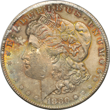 Nineteen toned Morgan dollars.