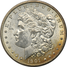 Twenty Morgan dollars, as described.