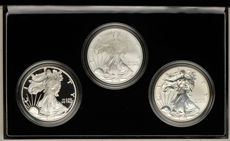 2006 American Eagle 20th Anniversary Silver Coin Set.