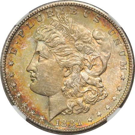 Four toned Morgan dollars, all NGC MS-64.