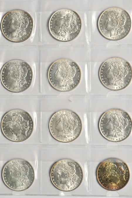 Twenty Morgan dollars from a mix date roll, all UNC.