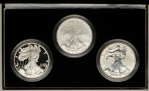 2006 American Eagle 20th Anniversary Silver Coin Set.