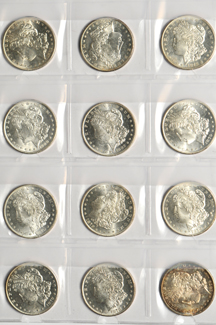 Twenty Morgan dollars from a mix date roll, all UNC.