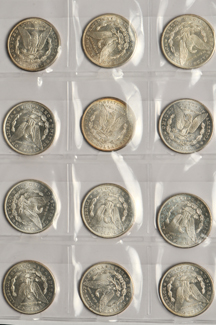 Twenty Morgan dollars from a mix date roll, all UNC.